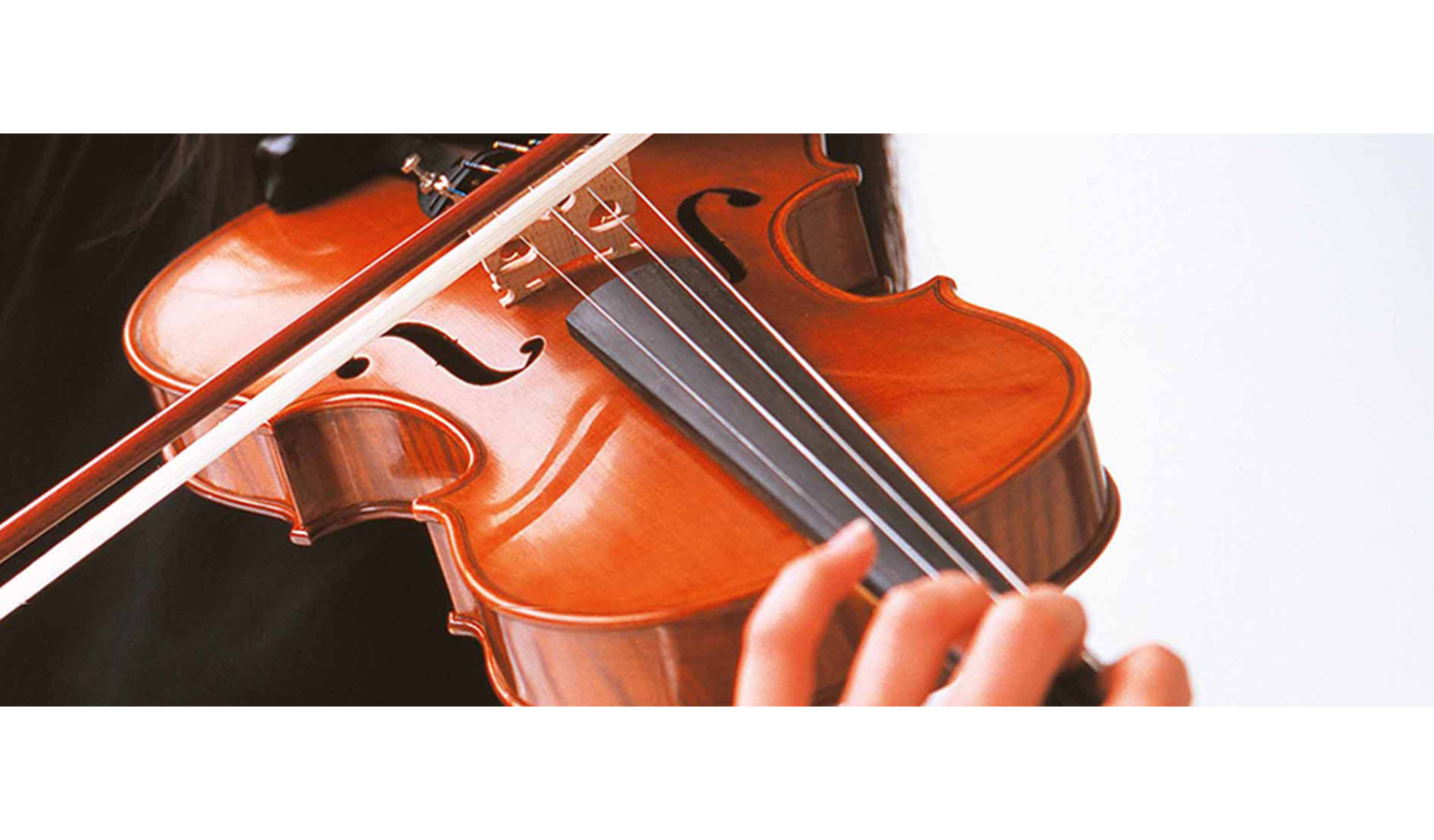 Violinistas